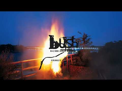 Greedy Fly - Remastered