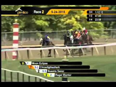 Pimlico 05/24/15 race 2
