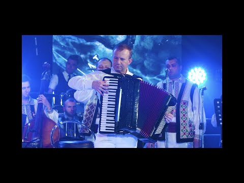 Vitalie Advahov - Gingășa și tandra mea fiară/My Sweet and Tender Beast