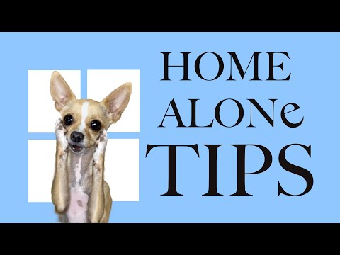 STOP UNWANTED behaviors with BACK UP