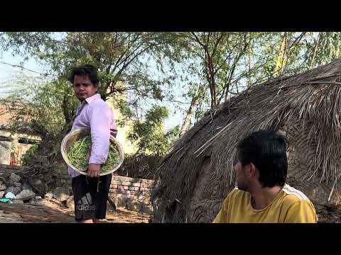 Team Beniwal 2.0 and 2 more