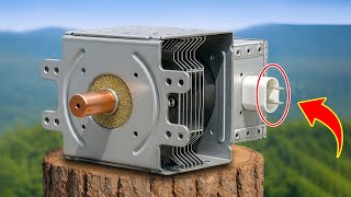 Werfen Sie die Innenteile Ihrer Mikrowelle nicht weg, bevor Sie das wissen! Sie werden staunen!