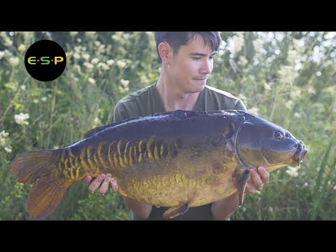 Catch more fish on chod rigs!