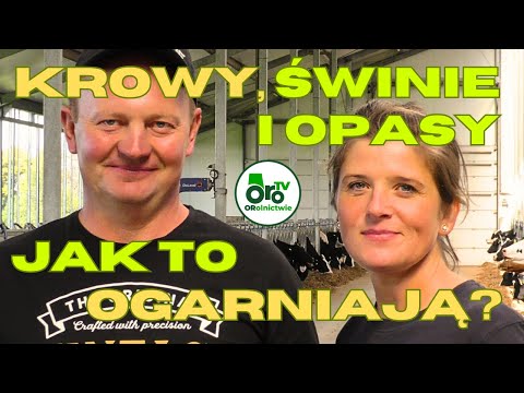 An 8 million-dollar barn, beef cattle, and pigs. It's all in the family.