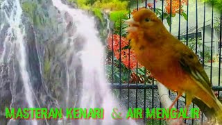 Download lagu MASTERAN BURUNG KENARI DAN SUARA AIR MENGALIR JERN... mp3