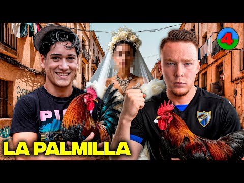 Kevin Begs a Gypsy | The Most Dangerous Neighborhood in Malaga