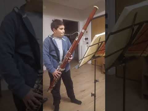#krakamp fagotto #fagotto  #bassoon #musicaclassica