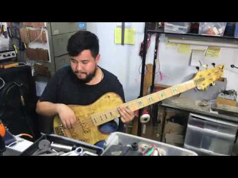 D'Mark Bass Omega | Danilo Macapá | D'Mark Guitars