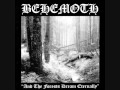 Behemoth - Hidden in the fog