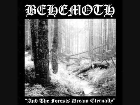 Behemoth - Hidden in the fog