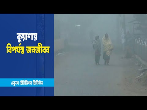 শীতের সাথে ঘন কুয়াশায় বিপর্যস্ত জনজীবন