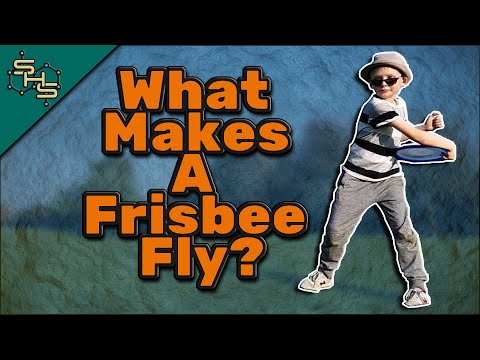 Frizbi
