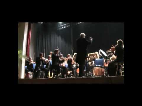 Festival der Kulturen Festivaleröffnung 2008