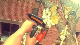 Pruning Cuts. Saw Sloth Part 1