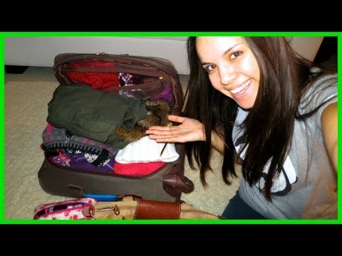 Packing for Iowa! ❄ Vlogmas 18, 2012