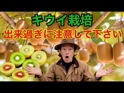 生態意識の庭の冬