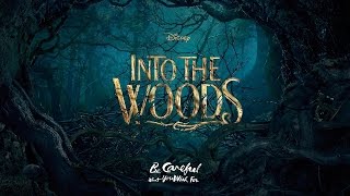 INTO THE WOODS - No One is Alone (KARAOKE) - Instrumental with lyrics on screen [Solo]