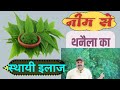 Home Remedy For Mastitis With Neem Desi Treatment For Mastitis Ramawat