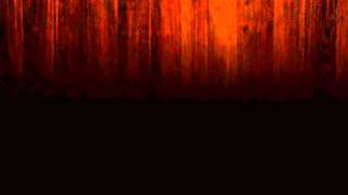 Lauryn Hill & Young Zee﻿ - Stay Gold Remix.wmv