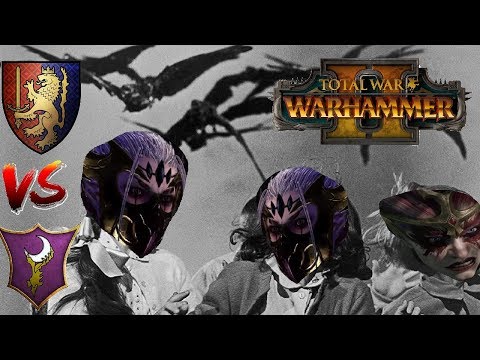 Bretonnia vs Dark Elves | BRETONNIA BIRD FORCE - Total War Warhammer 2