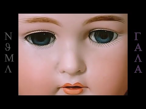 NJML - GALA(праздник)