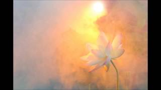 Praise God I'm Free Medley