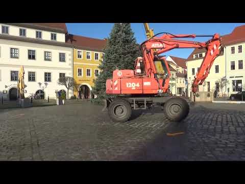 Hoyerswerda: Die Weihnachtsbäume stehen - LAUSITZWELLE