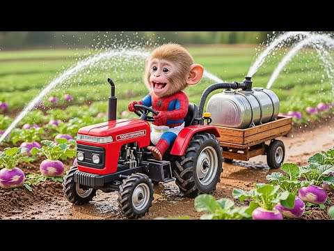 “The Unexpected Adventure of Monkey Sunny with a Tractor and Purple Radish.” | Baby Monkey Farm