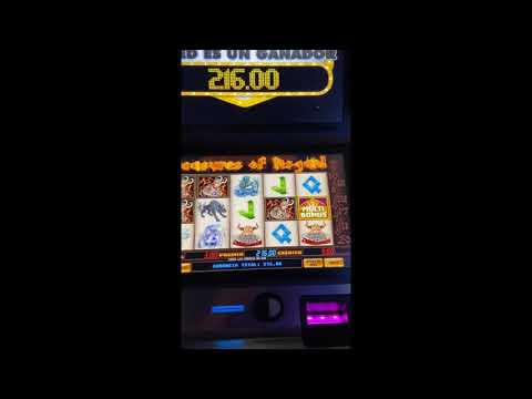 Hunter's Dream 2 and Treasures of Asgard - Big Wins 2