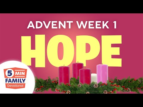 Witness21 Editor  2021 11 12