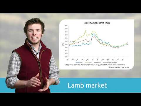 Beef & Lamb Market Update 04/03/2019