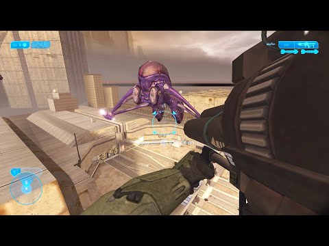 The Horse You Rode In On...