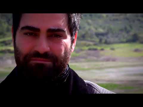 امي حماله هموم هشام كرم