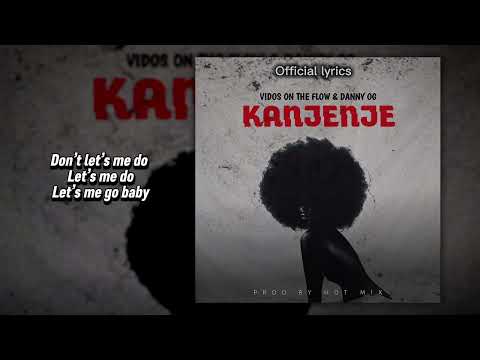 Vidos on the flow ft Danny og audio lyrics 🦅🇧🇮🔥