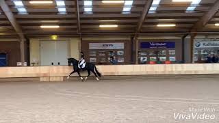 Jameson RS2 nouvel étalon star du KWPN