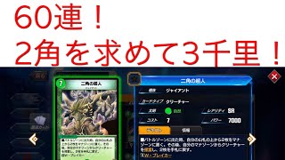 【大会に向けて60連】二角を引き当てろ！（デュエプレ・デュェルマスターズプレイス）