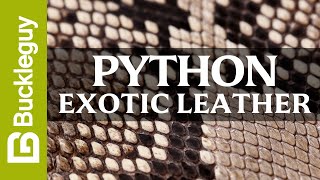 Exotic Leather, Python | Full Grain Leather Demo