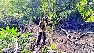 Download lagu Liku liku mencari dan teroka lubuk pancing mp3