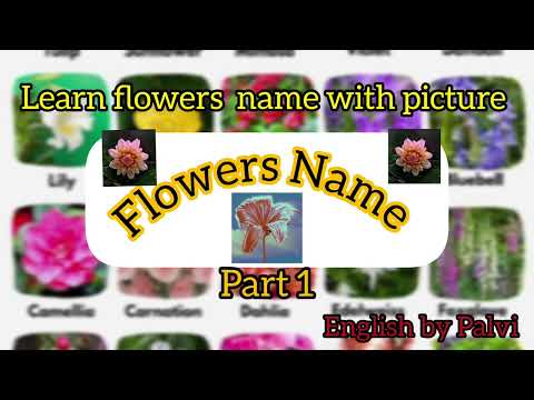 Part 1   Flowers  Name // Name of different flowers with picture//  #flowersnameforkids