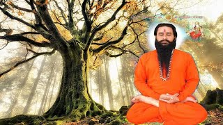 Download lagu Vipassana sadhana by param pujya gurudev / shaktiputra ji maharaj / meditation mp3