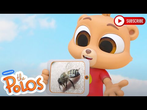 Who Needs a Web | Adventure Learning | MarcoPolo World School | Learn At Home - Kingdom Kids Zone, Little Learners - The Polos and MarcoPolo Learning