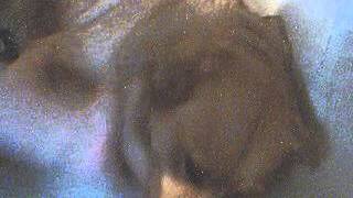 maverick restless heart