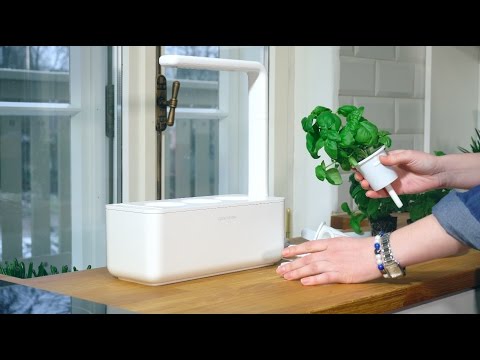 Išmanus namų sodas Click &amp; Grow Smart Indoor Garden 3, baltas video