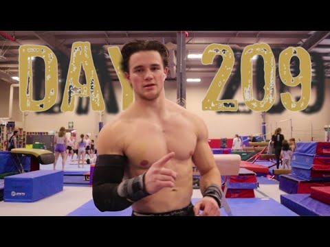 Comp Season Day 209 - Pommel Vault Parallel Bars HighBar