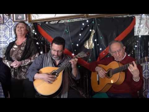 Amália Duarte - Solar dos Santos