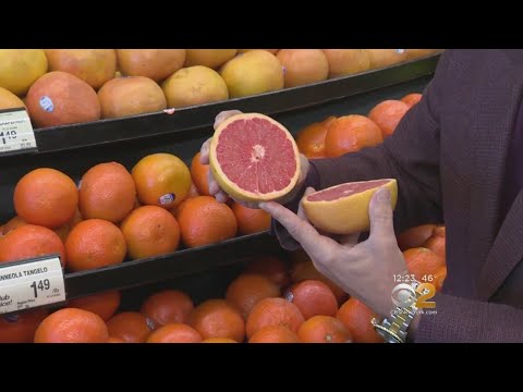 download lagu mp3 mp4 Ruby Red Fruit, download lagu Ruby Red Fruit gratis, unduh video klip Ruby Red Fruit