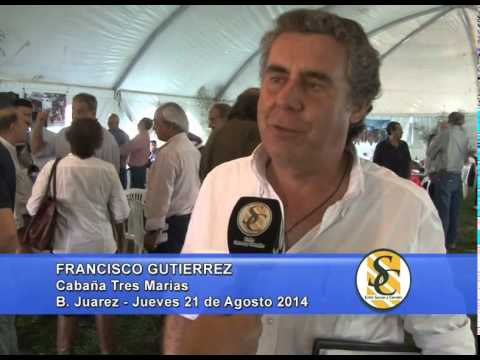Cabaña Tres Marías - Francisco Gutierrez - Ganadera Azul S.R.L. - B. Juarez - 21/08/2014