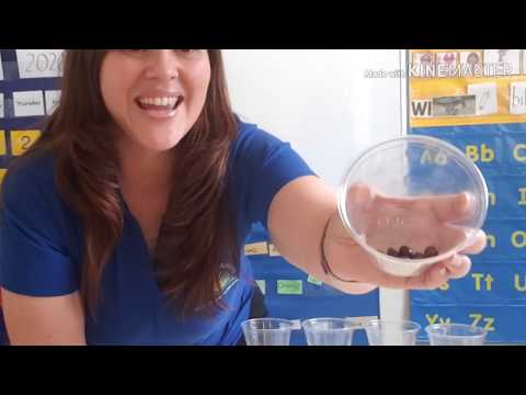 At-Home Science Projects for Kids | Rainbow in a Jar (Density)