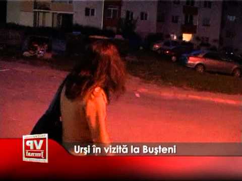 URSI IN VIZITA LA BUSTENI‏