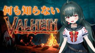 【#Valheim】何も知らないValheim【#初見 】
